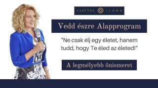 2. Vedd észre Alapprogram