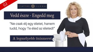 1. Vedd észre - Engedd meg Alapprogram